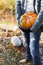 Man in gloves holds a yellow pumpkin in field at sunset in autumn harvest time. Pumpkin patch. Happy Thanksgiving and Halloween Royalty Free Stock Photo