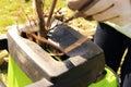 A man with gloves puts tree branches into green wood chipper. The breaker machine is cutting, crushing and grinding. The grinder m Royalty Free Stock Photo