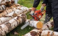 Man in gloves is sawing a tree trunk with a chainsaw. Royalty Free Stock Photo