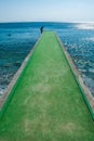 Man goes to the green pier to dive