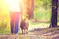 A man going with a dog in the forest Royalty Free Stock Photo