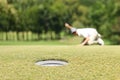 Man golfer check line for putting golf ball on green grass Royalty Free Stock Photo
