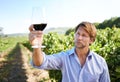 Man, grape fields and vineyard with glass of wine for quality control, agriculture and sustainable winery. Vintage, red Royalty Free Stock Photo