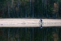 Man on a gravel bike. Cyclist on the empty sandy beach. Autumnal forest and great reflection in water