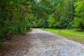 A man in a gray shirt walking his dog down a long winding dirt hiking trail covered with fallen autumn leaves Royalty Free Stock Photo