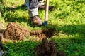 Man digging hole with shovel Royalty Free Stock Photo