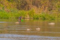 Man with greeen baske fishing in Kumgang river