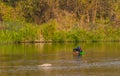 Man with green basket fishing in Kumgang river