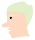 Man with green hair and big nose, icon Royalty Free Stock Photo