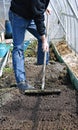 Man in greenhouse leveled the soil with a rake on the gardenbed