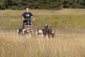 Man with Greenland dogs pulling cart