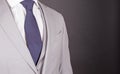 Man in a grey suit, close-up Royalty Free Stock Photo