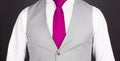 Man in a grey suit, close-up Royalty Free Stock Photo