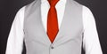 Man in a grey suit, close-up Royalty Free Stock Photo
