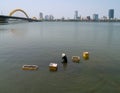 Man grows mussels in the river city Royalty Free Stock Photo