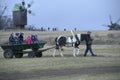 Man riding group of tourists in a horse-drawn cart, windmills working on a bachground, village. Pyrogove, Ukraine Royalty Free Stock Photo