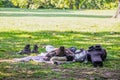 Man with guitar case and motorcycle helment with boots off lying in shade napping under tree in leafy park - Room for copy Royalty Free Stock Photo