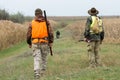 A man with a gun in his hands and an orange vest on a pheasant hunt in a wooded area Royalty Free Stock Photo