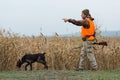 A man with a gun in his hands and an orange vest on a pheasant hunt in a wooded area Royalty Free Stock Photo