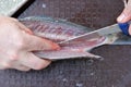 Man Gut and Clean a Fish Royalty Free Stock Photo