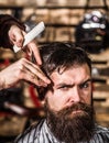 Man hairstylist. Beard man in barbershop. Hairstylist serving client at barber shop, bearded. Hairdresser, hair salon Royalty Free Stock Photo