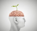 Man with half head and a brain with a small plant on it Royalty Free Stock Photo