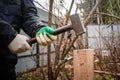 photo of the hands of a man hammering a board with a sledgehammer into the ground Royalty Free Stock Photo