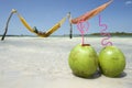 Man in Hammock Brazilian Beach with Coconuts