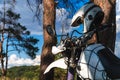 Man in a hammock on pine forest mountain, outdoor traveler relax, enduro off road motorcycle