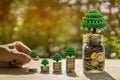 Man hand coins bar and jar and trees on wooden table in sunlight and blur background present the Savings Coins. Royalty Free Stock Photo