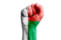 Man hand fist of MADAGASCAR flag painted. Close-up.