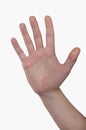 Man hand. Five fingers, unfolded palm Royalty Free Stock Photo