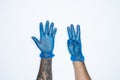 A man hand and gestures in Blue rubber glove shows eight finger sign isolated on white background Royalty Free Stock Photo