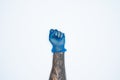 A man hand and gestures in Blue rubber glove shows fist scat sign isolated on white background Royalty Free Stock Photo
