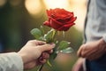 man hand give rose to woman Royalty Free Stock Photo