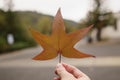 Man hand hold platan autumn leaf in cloudy day Royalty Free Stock Photo