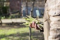 Man hand holding asparagus stems Royalty Free Stock Photo