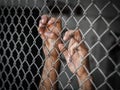 Man hand holding on chain link fence to remember Human Rights Da Royalty Free Stock Photo