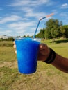 Man hand holding cup with blue slush Royalty Free Stock Photo