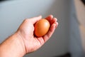 Man hand holding egg on blurred background Royalty Free Stock Photo