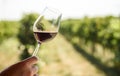 Man hand holding glass of red wine in vineyard field. Wine tasting in outdoor winery restaurant travel tour