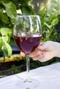 Man hand holding glass of red wine on white background Royalty Free Stock Photo