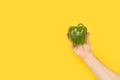 Man hand holding a green bell pepper Royalty Free Stock Photo