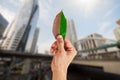 Man hand holding half brown and green leaf on blurred city background