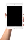 Man hand holding the iPad mini Royalty Free Stock Photo