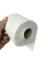 A man Hand holding toilet paper isolated on white background Royalty Free Stock Photo