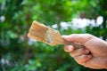 Man hand is holding used paint brush with green nature background Royalty Free Stock Photo