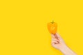 Man hand holding a yellow bell pepper Royalty Free Stock Photo