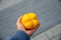 man hand holding yellow pepper on blured background Royalty Free Stock Photo