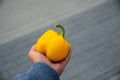 man hand holding yellow pepper on blured background Royalty Free Stock Photo